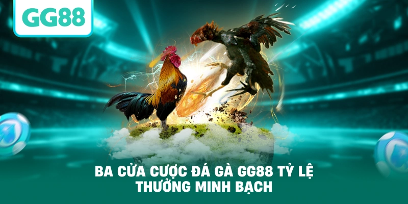 Ba cửa cược đá gà GG88 tỷ lệ thưởng minh bạch